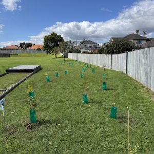 planting_point_view