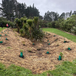 planting_sancta_maria.webp